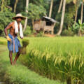 Polyculture Farming and Digital Agriculture Systems